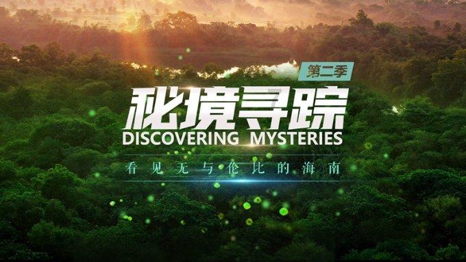 白球进黑洞选关版