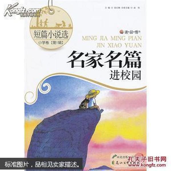 暴走小飞机
