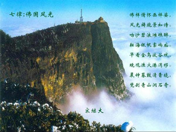 锐评丨警惕打着感情旗号的